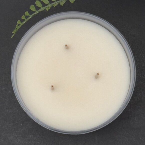 BBW Eucalyptus Snowfall White Barn Bath & Body Works 3 Wick Candle - Picture 7 of 10